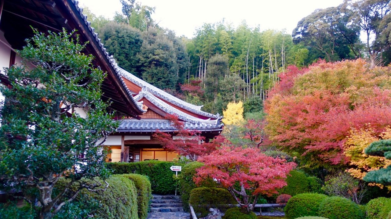 鈴虫 寺 京都
